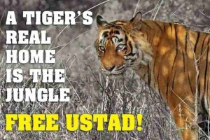 Poster with caption - A tigers real home is the jungle. Free Ustad"